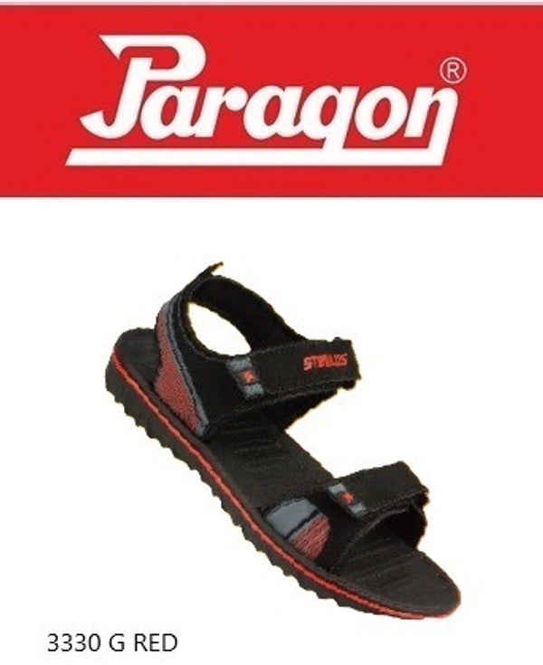 paragon blot 3330