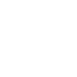 Twitter Icon
